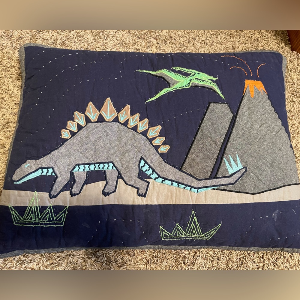 Pottery Barn Kids Dino Pillow Sham x 2